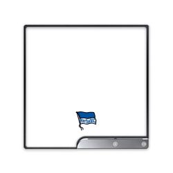 Folien für Spielekonsolen matt