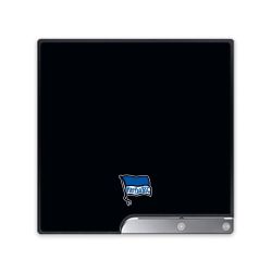 Folien für Spielekonsolen matt