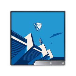 Folien für Spielekonsolen matt