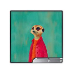 Foils for Consoles matt