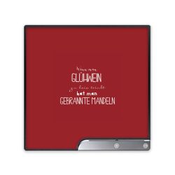 Folien für Spielekonsolen matt