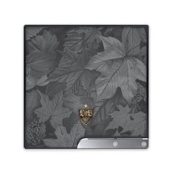 Folien für Spielekonsolen matt