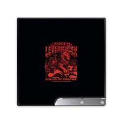 Folien für Spielekonsolen matt