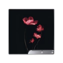 Foils for Consoles matt