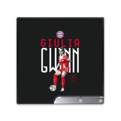 Foils for Consoles matt