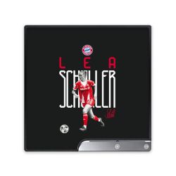 Folien für Spielekonsolen matt