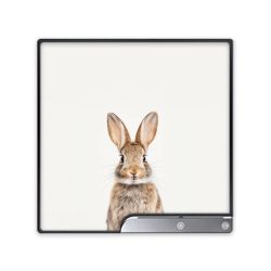 Foils for Consoles matt