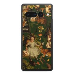 Foils for Smartphones glossy