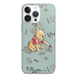 Winnie the Pooh Daisy and Bug Love