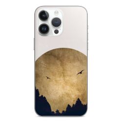 Twee vogels en de maan