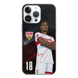 Folien für Smartphones matt