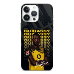 Foils for Smartphones matt