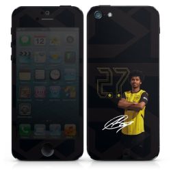 Foils for Smartphones matt