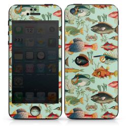 Foils for Smartphones matt