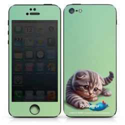 Foils for Smartphones matt