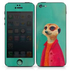 Foils for Smartphones matt