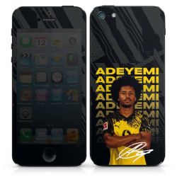 Foils for Smartphones matt