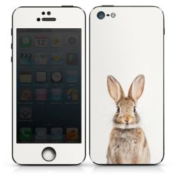 Folier Telefoner måtten