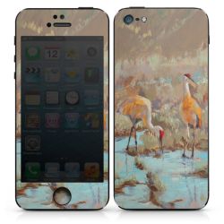 Foils for Smartphones matt