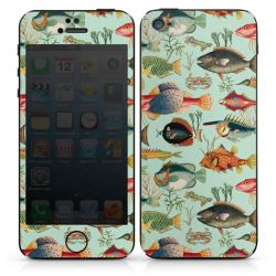 Foils for Smartphones matt