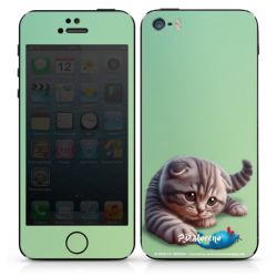 Foils for Smartphones matt