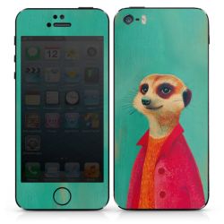 Foils for Smartphones matt