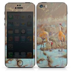 Foils for Smartphones matt