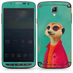 Foils for Smartphones matt