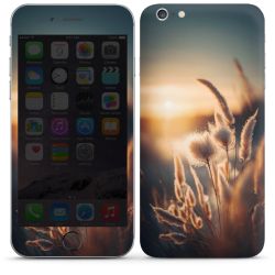 Foils for Smartphones glossy