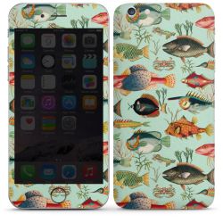 Foils for Smartphones matt