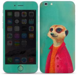 Foils for Smartphones matt