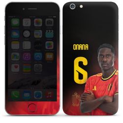 Foils for Smartphones matt