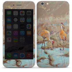 Foils for Smartphones matt