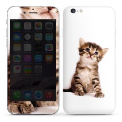 Foils for Smartphones glossy