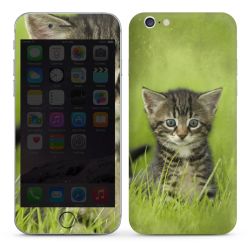 Foils for Smartphones glossy