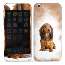 Foils for Smartphones glossy