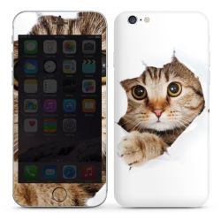 Foils for Smartphones glossy