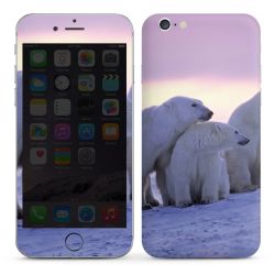 Foils for Smartphones glossy