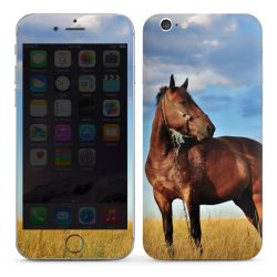 Foils for Smartphones glossy