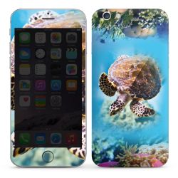 Foils for Smartphones glossy