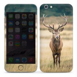 Foils for Smartphones glossy