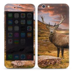 Foils for Smartphones glossy