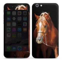 Foils for Smartphones glossy