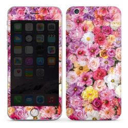 Foils for Smartphones glossy