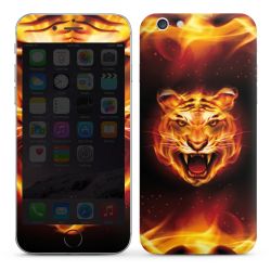 Foils for Smartphones glossy