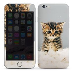 Foils for Smartphones glossy