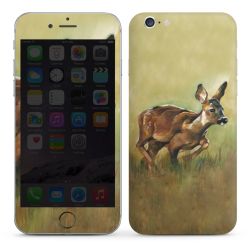 Foils for Smartphones glossy