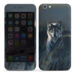 Foils for Smartphones glossy