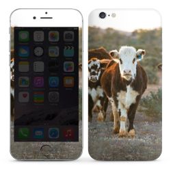 Foils for Smartphones glossy