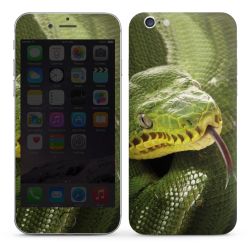 Foils for Smartphones glossy